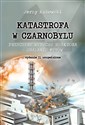 Katastrofa w Czarnobylu Przyczyny wybuchu reaktora - obalanie mitów - Jerzy Kubowski