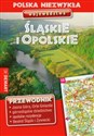 Województwo Śląskie i Opolskie przewodnik  online polish bookstore
