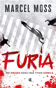 Furia chicago polish bookstore