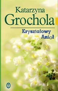 Kryształowy Anioł buy polish books in Usa