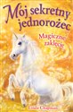 Magiczne zaklęcie (tom 1) polish usa