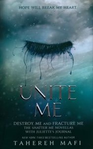 Unite Me  chicago polish bookstore