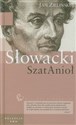 Wielkie biografie Tom 21 Słowacki SzatAnioł Polish bookstore
