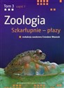 Zoologia Tom 3 Część 1 Szkarłupnie - płazy - Opracowanie Zbiorowe
