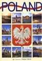 Polska wersja angielska - Renata Grunwald-Kopeć Polish bookstore