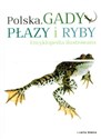Polska Gady płazy i ryby Encyklopedia ilustrowana books in polish