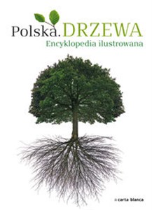 Polska Drzewa Encyklopedia ilustrowana  