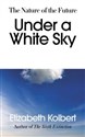 Under a White Sky 