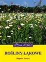 Rośliny łąkowe - Zbigniew Nawara pl online bookstore