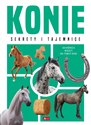 Konie  