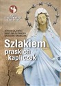 Szlakiem praskich kapliczek - Adrian Gajewski, Karolina Głowacka, Grzegorz Krawczak