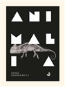 Animalia - Anna Adamowicz