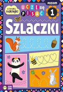 Uczę się pisać Szlaczki Poziom 1 