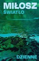 Światło dzienne buy polish books in Usa