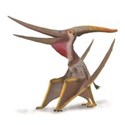 Pteranodon 1:15  - 