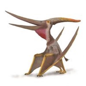 Pteranodon 1:15  Polish bookstore