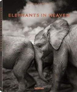 Elephants in Heaven   