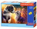 Puzzle 260 New Friendship B-27583-1  - 