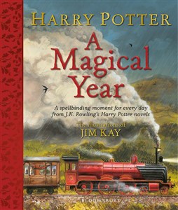 Harry Potter A Magical Year polish books in canada
