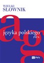 Wielki słownik języka polskiego Tom 1 A-G books in polish