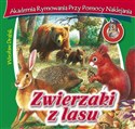 Zwierzaki z lasu - Wiesław Drabik