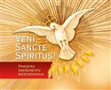Veni Sancte Spiritus. Pamiątka bierzmowania - czer - Opracowanie Zbiorowe