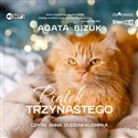 [Audiobook] Piątek trzynastego to buy in USA