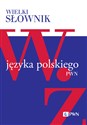 Wielki słownik języka polskiego Tom 5 W-Ż - Polish Bookstore USA