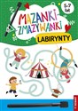 Mazanki-zmazywanki. Labirynty  online polish bookstore