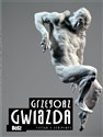 Gwiazda Rzeźba polish usa