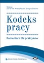 Kodeks pracy. Komentarz dla praktyków polish books in canada