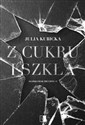 Z cukru i szkła - Julia Kubicka