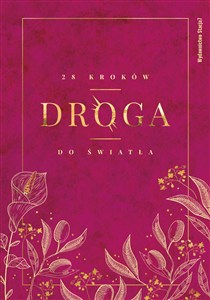 Droga. 28 kroków do Światła  chicago polish bookstore