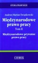 Międzynarodowe prawo pracy Tom 2 Międzynarodowe prywatne prawo pracy 