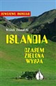 Islandia - czasem zielona wyspa  