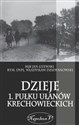 Dzieje 1. Pułku Ułanów Krechowieckich - Jan Litewski, Władysław Dziewanowski polish books in canada