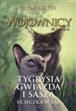 Wojownicy Manga Tygrysia Gwiazda i Sasza. Ucieczka w las chicago polish bookstore