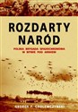 Rozdarty naród Polska brygada spadochronowa w bitwie pod Arnhem books in polish