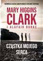 Cząstka mojego serca - Alafair S Burke, Mary Clark