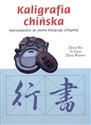 Kaligrafia chińska. Wprowadzenie do pisma bieżącego (xingshu) to buy in USA