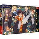 Puzzle 1000 Premium Plus Harry Potter 12082 - 