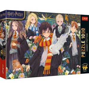 Puzzle 1000 Premium Plus Harry Potter 12082  