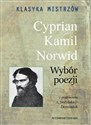 Klasyka mistrzów Cyprian Kamil Norwid Wybór poezji Canada Bookstore