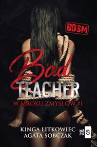 Bad Teacher W mroku zmysłów  polish books in canada