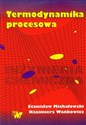 Termodynamika procesowa - Stanisław Michałowski, Kazimierz Wańkowicz in polish