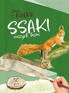Ssaki naszych lasów. Zeszyt z kalką  Polish bookstore