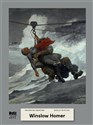 Winslow Homer. Malarstwo światowe online polish bookstore