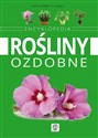 Rośliny ozdobne Encyklopedia polish usa