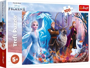 Puzzle 100 Magia Krainy lodu pl online bookstore
