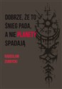 Dobrze, że to śnieg pada, a nie planety spadają - Radosław Zubrycki